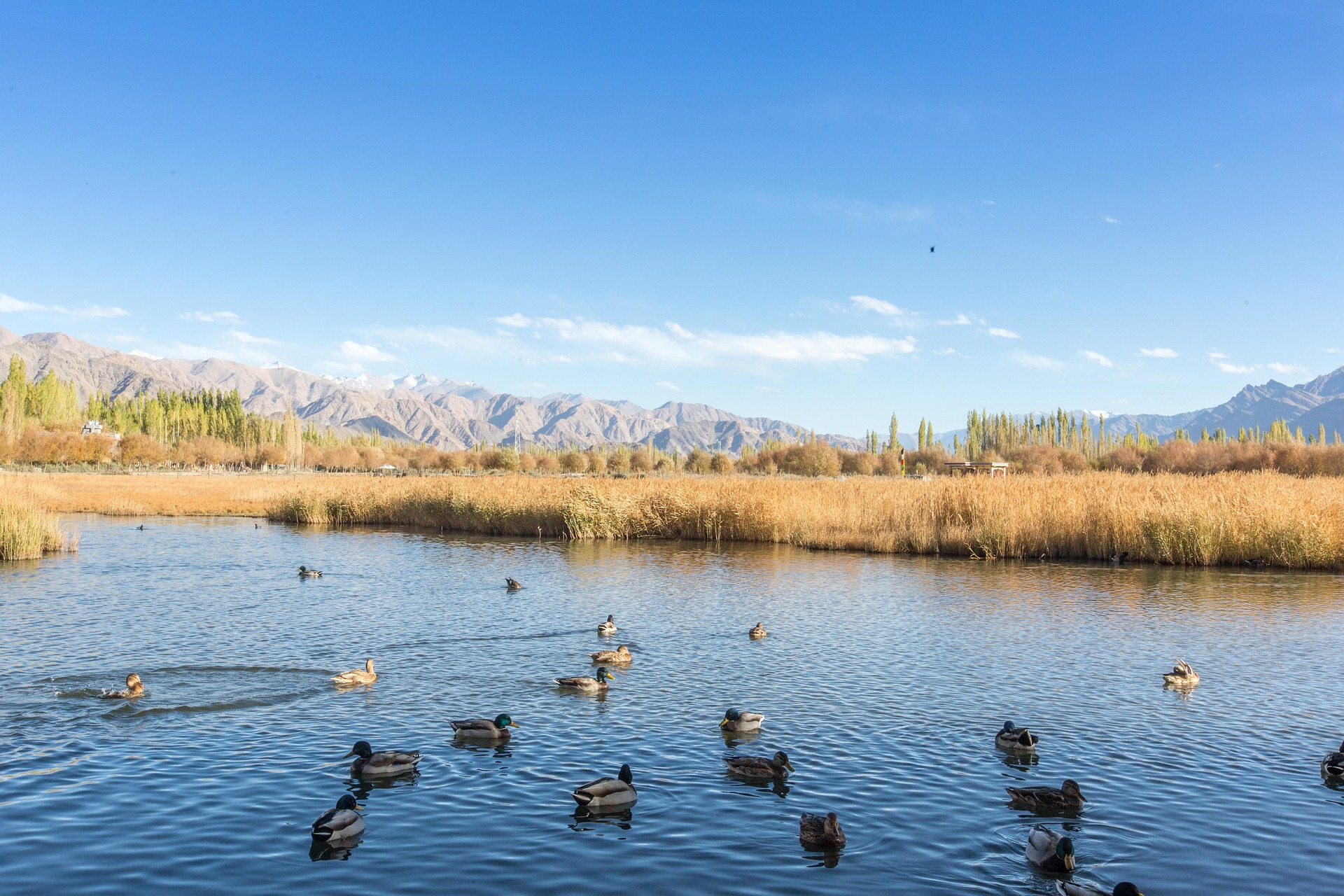 Experience Kashmir: Where Peace and Beauty Unite